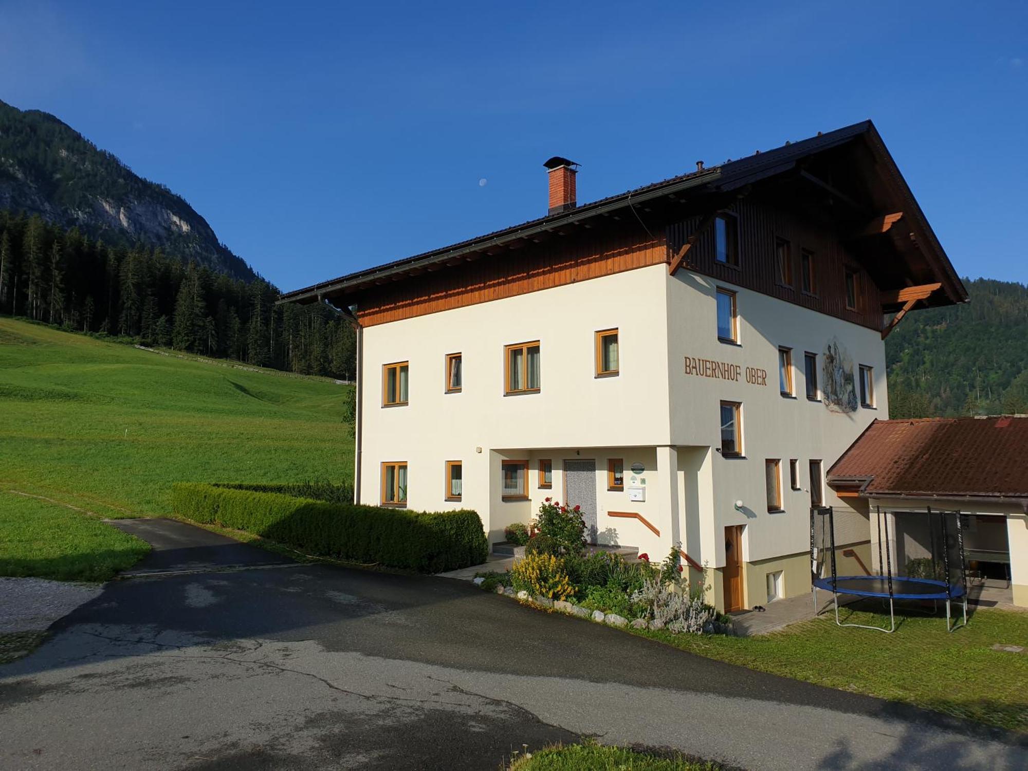 Appartement Bauernhof Ober à Birnbaum Extérieur photo