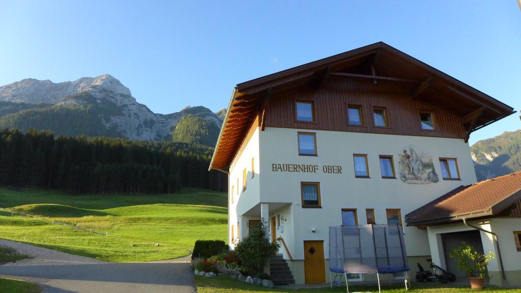 Appartement Bauernhof Ober à Birnbaum Extérieur photo